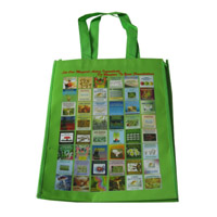 芜湖LB11覆膜无纺布广告袋